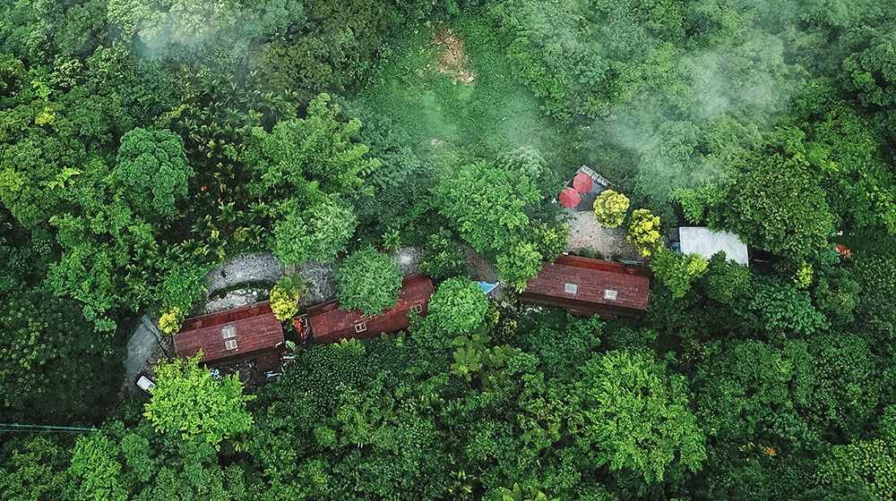 THL 沉浸心花蓮．原鄉森呼吸 星空音樂會．隱世梯田山三日
