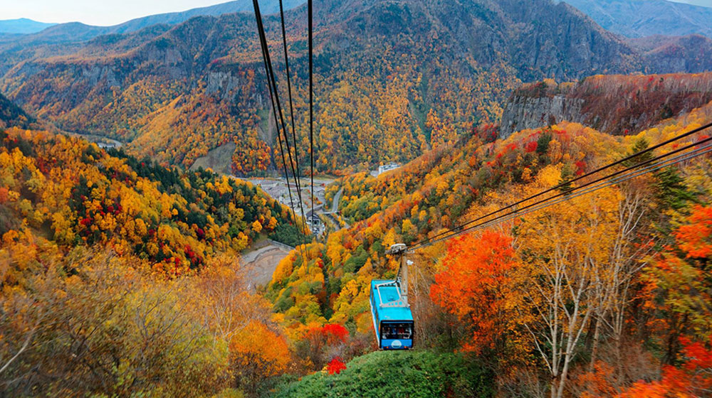 GSA 單飛輕旅行．北海道道東 彩秋繪美瑛．楓雅紅葉5日