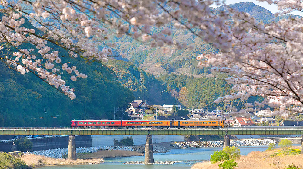 RMS 四國櫻花伊予灘物語5日． 道後五感和之宿．香川花舞滿喫