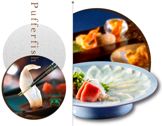 河豚刺身與精緻河豚套餐料理