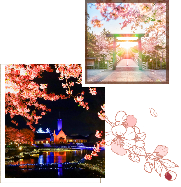名花之里夜櫻＋火樹銀花、伊勢神宮