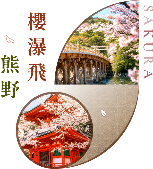 櫻瀑飛熊野 SAKURA