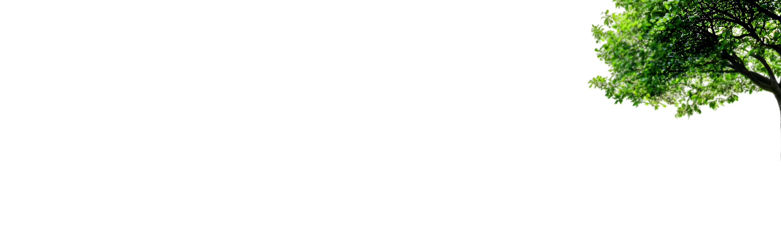 Depth 0.60