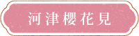 河津櫻花見