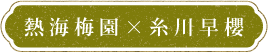 熱海梅園×糸川早櫻