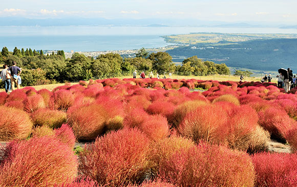 京丹後－76km－美山－110km－大阪 Day 04 － 02