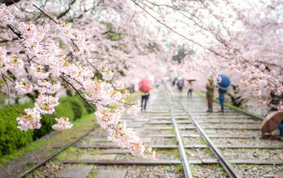 旅京都緩慢『心』旅行 Day 09 － 02