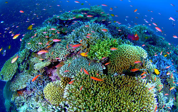 石垣島Ishigaki Island Day 02 － 02