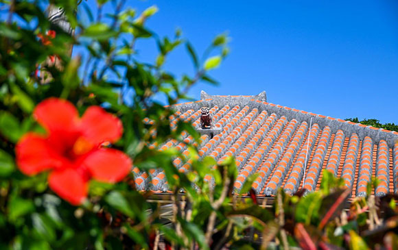 竹富島Taketomi Island ~西表島Iriomote Island Day 03 － 01