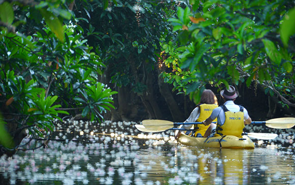 竹富島Taketomi Island ~西表島Iriomote Island Day 03 － 02