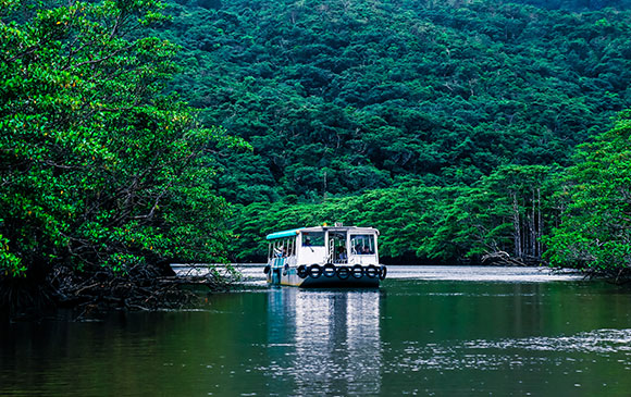 竹富島Taketomi Island ~西表島Iriomote Island Day 03 － 03