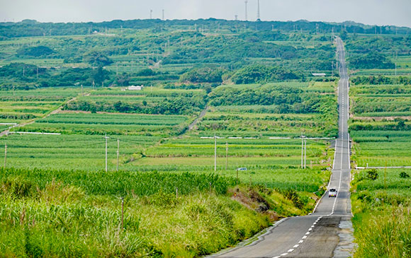 喜界島 Kika Island Day 06 － 02