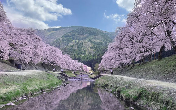 伊勢-100km-鮎河-45km-信樂-50km-京都 Day 03 - 01