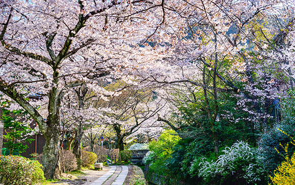 京都緩慢『心』旅行 -30km-琵琶湖 Day 04 - 01