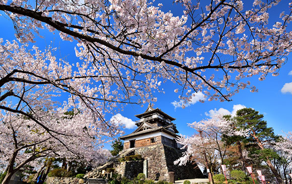 粟津-50km-福井-120km-近江八幡-30km-琵琶湖 Day 04 - 02
