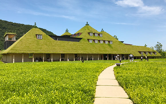 粟津-50km-福井-120km-近江八幡-30km-琵琶湖 Day 04 - 03