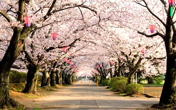 桃園 －日本．大阪關西空港－50km－大阪造幣局－70km－琵琶湖 Day 01 － 01