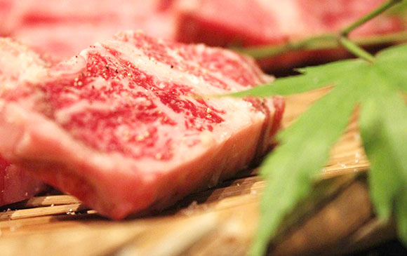 琵琶湖－30km－近江八幡－150km－永平寺－40km－福井（粟津） Day 02 － 02