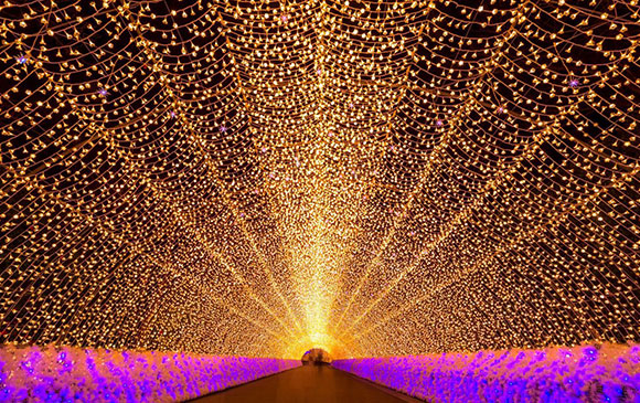 白川鄉－160km－津島市－20km－桑名市－30km－名古屋 Day 05 － 03