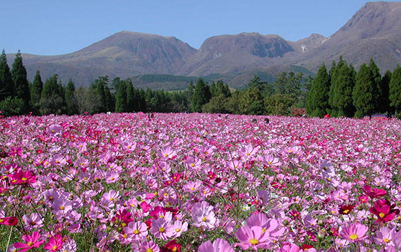黑川－50km－日田－55km－湯布院 Day 02 － 01