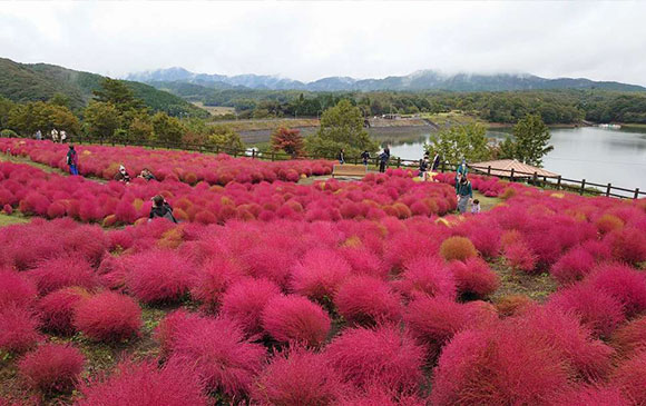 湯布院－30km－大分－30km－杵築－45km－湯布院 Day 03 － 03