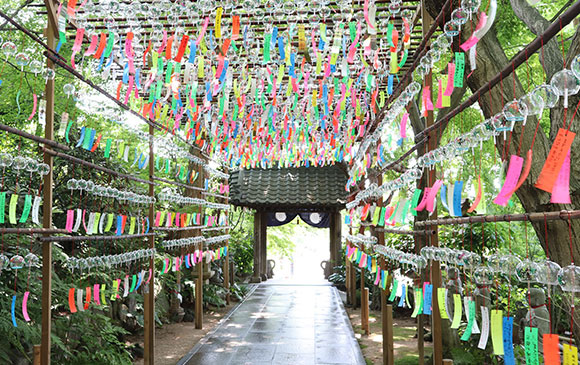 湯布院－90km－小郡－30km－福岡 Day 04 － 03