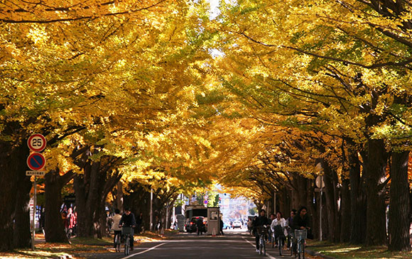 台北－日本．北海道．新千歲機場 －札幌 Day 01 － 01