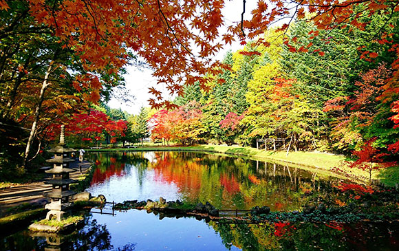 札幌 －美瑛 －旭川 Day 02 － 01