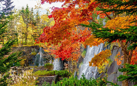 札幌 －美瑛 －旭川 Day 02 － 02