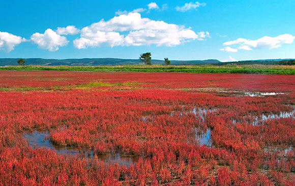 旭川－北見－網走 Day 03 － 02