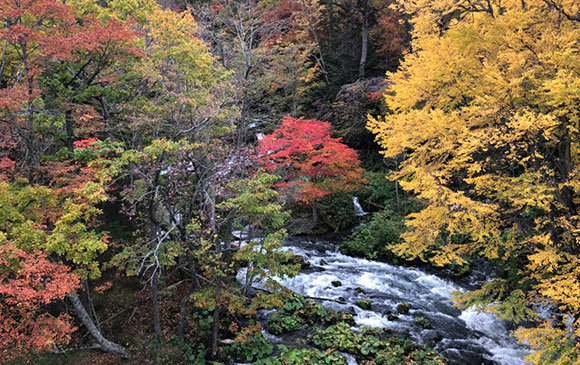 單飛輕旅行 北海道道東 主題旅遊賞 Festival Events 晴日旅行社 日本旅遊 東南亞旅遊 台灣旅遊 頂級團體旅遊推薦