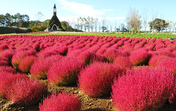 長良川－86km－郡上－40km－白川鄉 Day 02 － 01