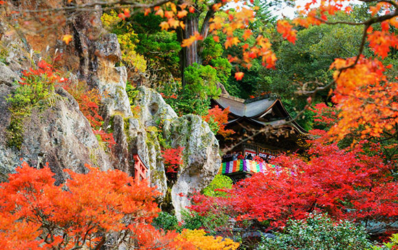 粟津－50km－福井－140km－近江八幡－90km－大阪 Day 05 － 01