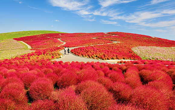 水戶－50 km－袋田－70 km－宇都宮 Day 02 － 01