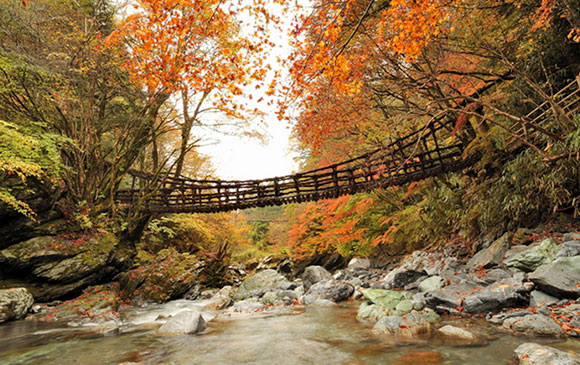 德島－105km－大步危－60km－高知 Day 02 － 03