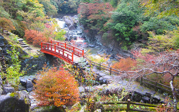 高知－70km－中津溪谷 或 檮原町－80km－道後溫泉 Day 03 － 01