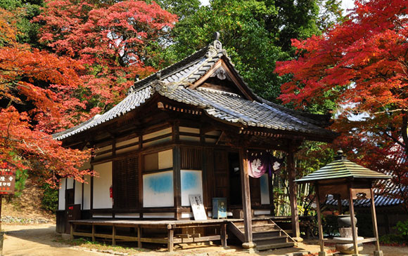 道後溫泉－125km－金刀比羅宮－33km－高松 Day 04 － 01