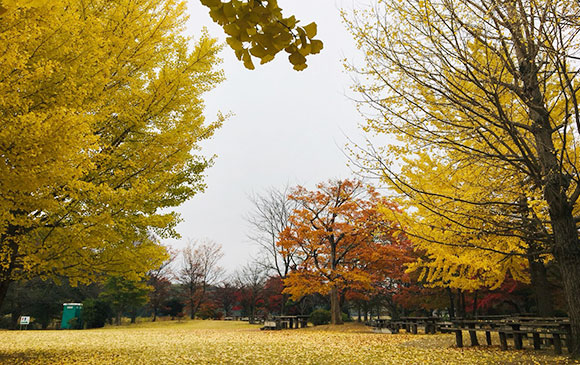 水戶－20km－常陸那珂－160km－郡山－45km－裏磐梯 Day 02 － 02