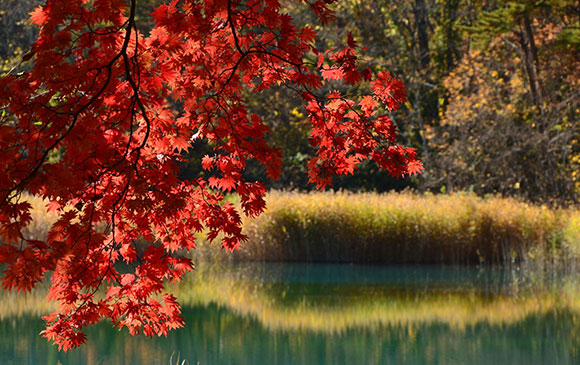 裏磐梯－35km－會津若松－30km－大內宿－80km－鬼怒川 Day 03 － 01