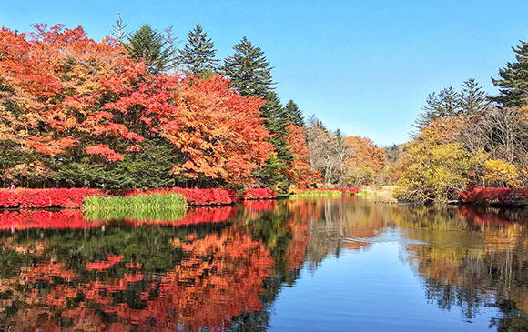 輕井澤「愜意」一日遊 Day 02 － 01