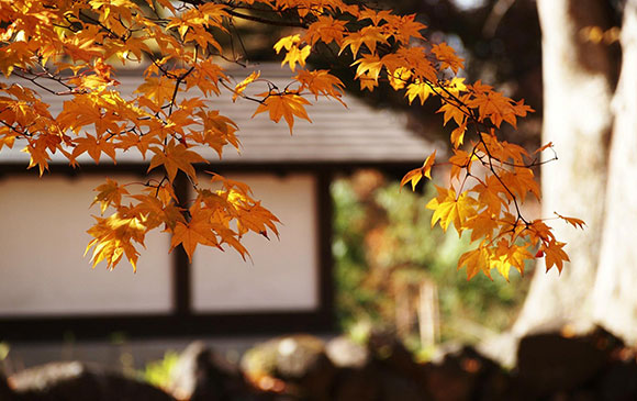 輕井澤－80km－清里－60km－石和溫泉 Day 03 － 01