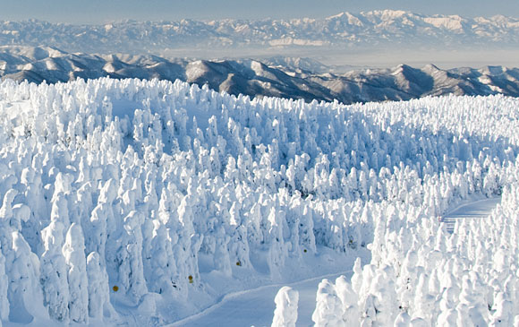 宮城藏王－45km－山形市－100km－湯野浜 Day 05 － 02