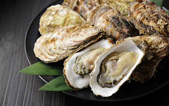 湯田溫泉－120km－宮島 Day 02 － 02