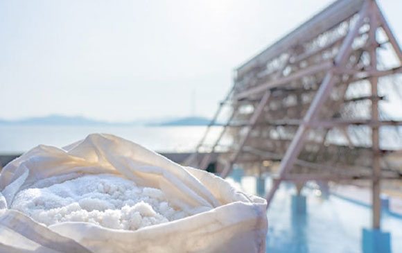 福山－65km－竹原－55km－廣島－285km（新幹線）－福岡 Day 05 － 02