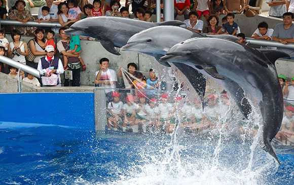 湯布院－30km－大分－30km－杵築－50km－湯布院 Day 03 － 01