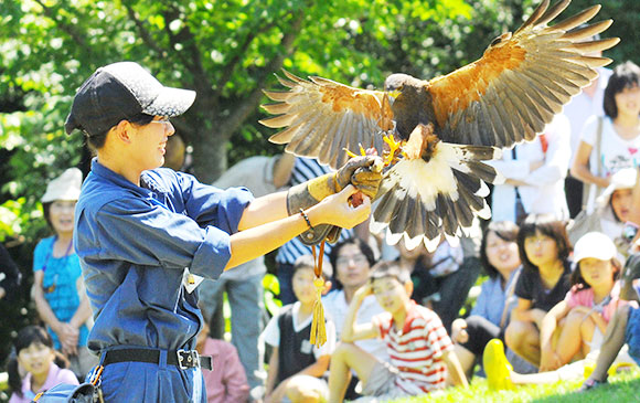 出雲－50km－松江市－30km－安來市－30km－玉造溫泉 Day 04 － 01