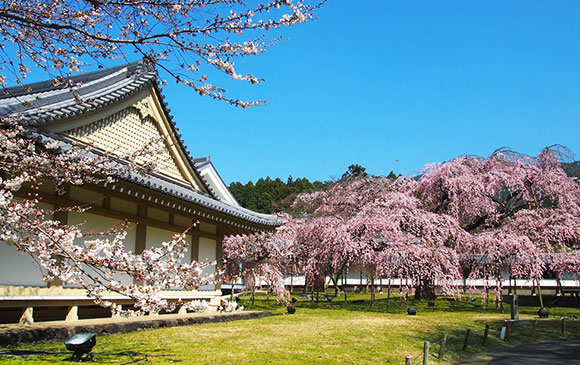 京都緩慢『心』旅行 Day 02 － 01