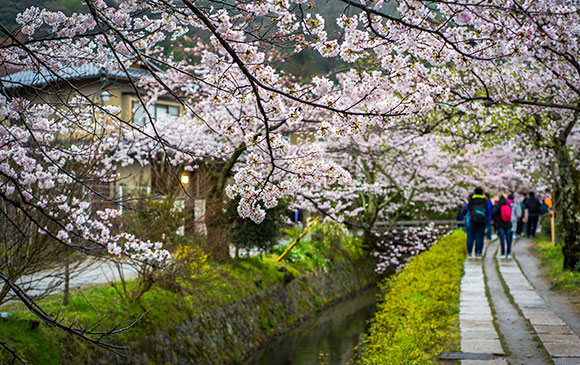 京都緩慢『心』旅行 Day 02 － 02