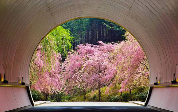 京都－45km－信樂町－120km－伊勢半島 Day 03 － 01