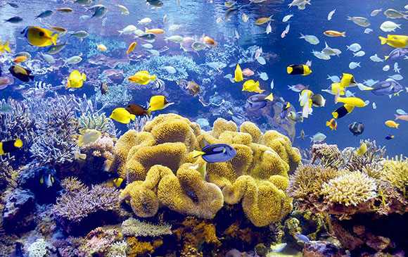 京都－45km－信樂町－120km－伊勢半島 Day 03 － 02